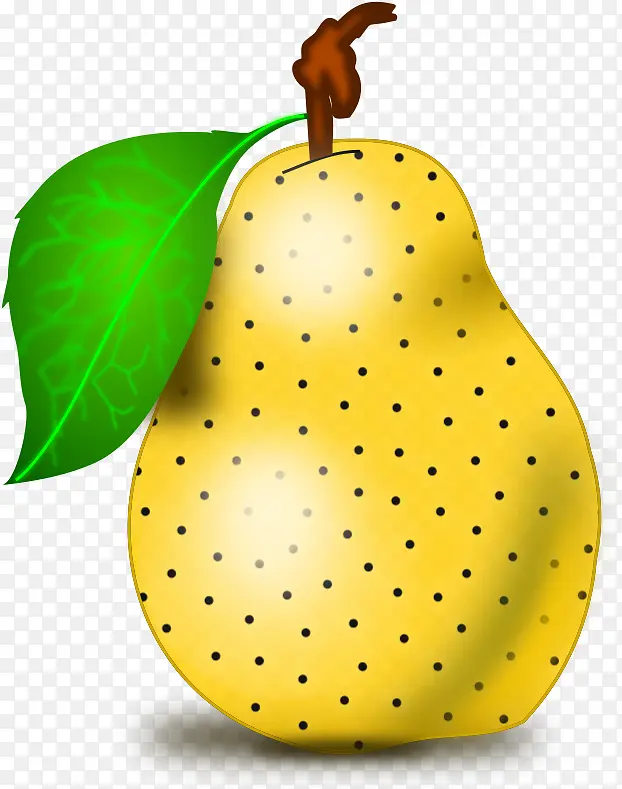 �ɹ���Ʒ�� ˮ�� ֲ��-������