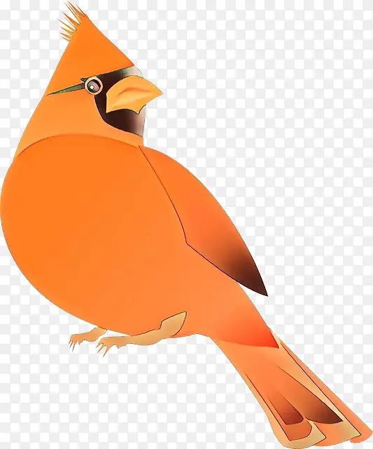 ��ͨ �� ��ɫ-������