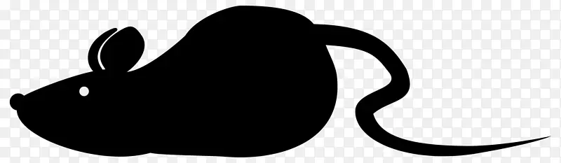 ���� �ڰ� ���˱�-������