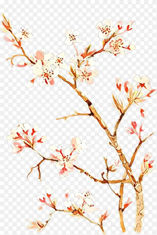 ��ͨ ��֦ ��-������