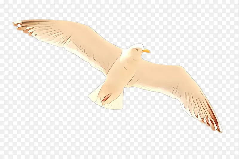 ��ͨ ��� ��Ÿ-������