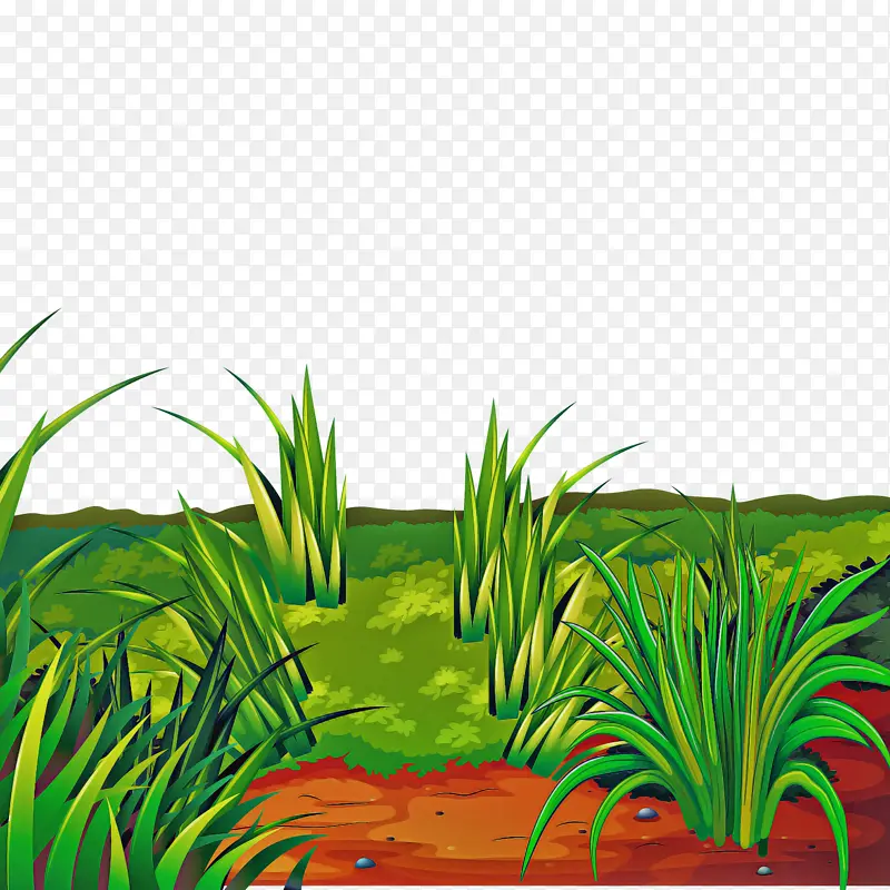 �� ֲ�� ��ɫ-������