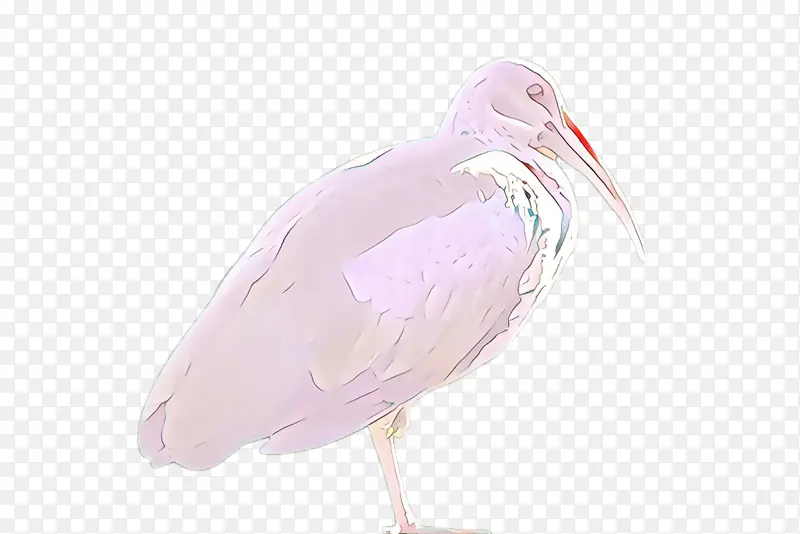 ��ɫ ���� ��������-������