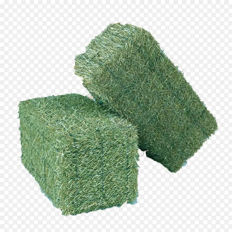 ��ɫ �� ֲ��-������