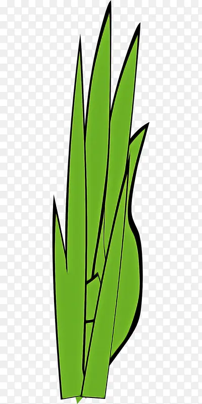 ��ɫ Ҷ�� ��-������