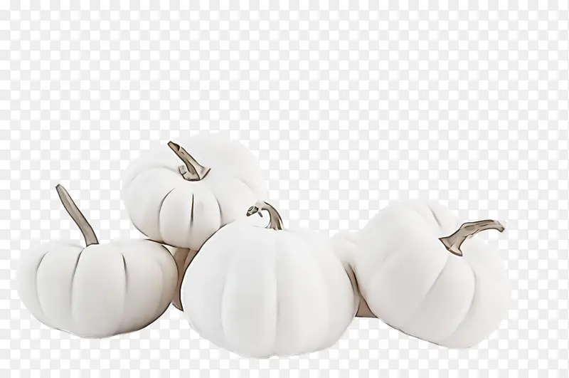 ��ɫ ֲ�� ʳ��-������