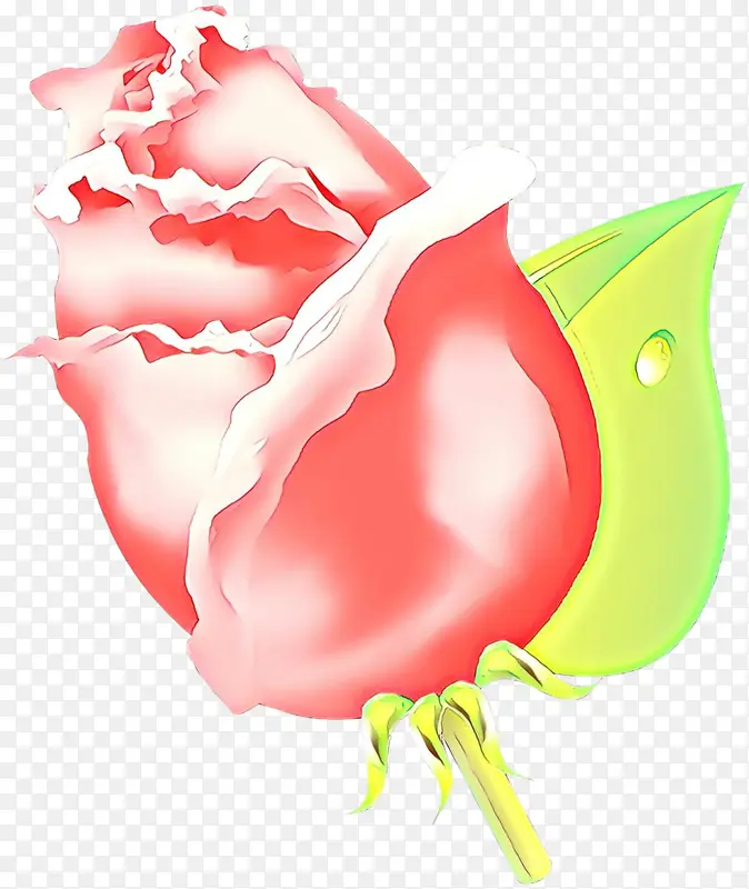 ��ͨ ֲ��-������