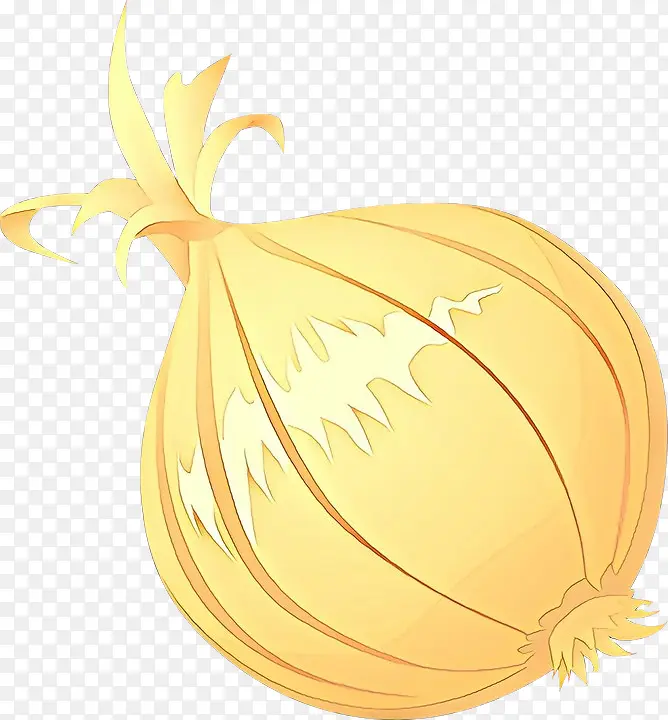 ��ͨ ��ɫ ��ɫ-������