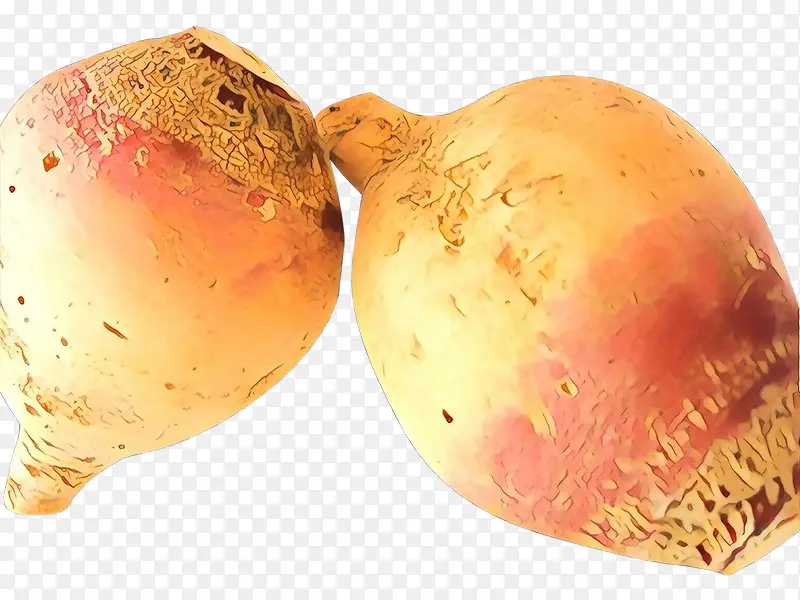 ��ͨ �����߲� �߲�-������