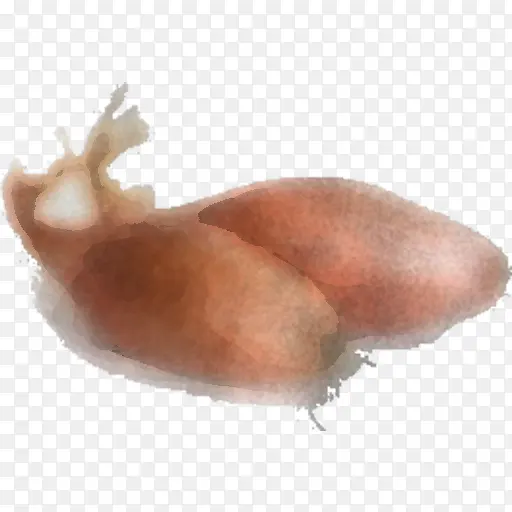 ��-������