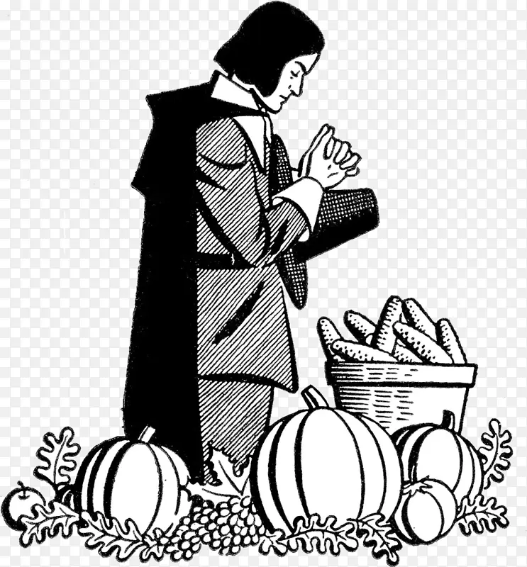 �������� ��ͨ���� ��ɫ��-������