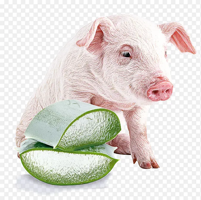 ���� ���� ����-������