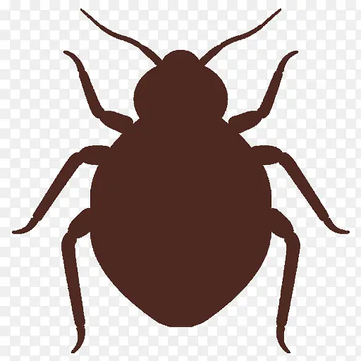 ���� ���� ������-������