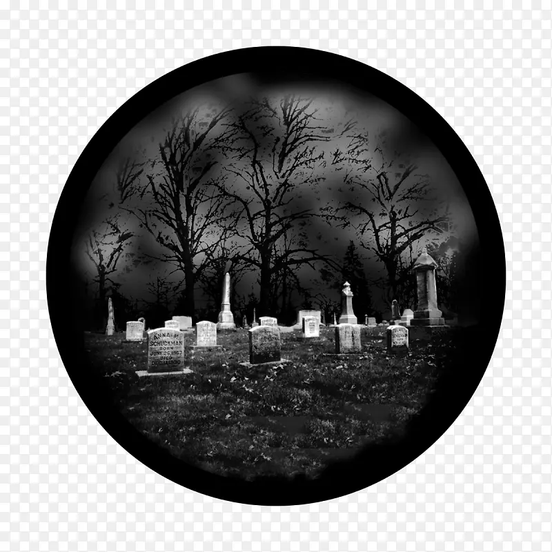 �ɹ���Ʒ���� �;� �ڰ�-������