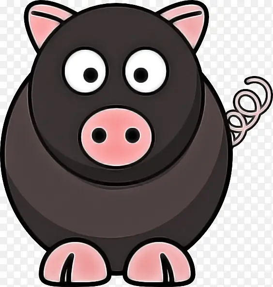 ��ͨ ���� ����-������