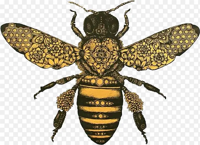 ���� �׳� Ĥ״����-������