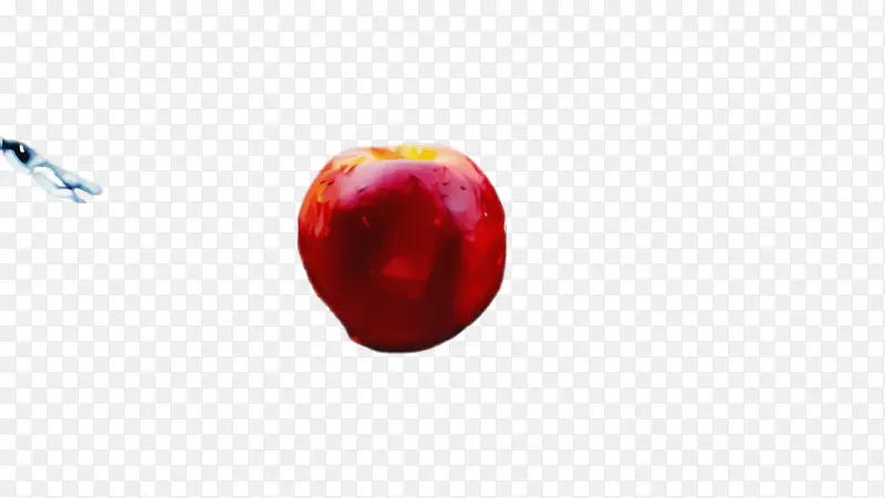 ��ɫ ˮ�� ֲ��-������