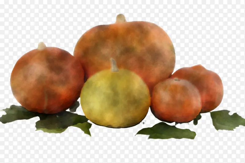 ��ɫ Ƥ�� �ӷ�-������