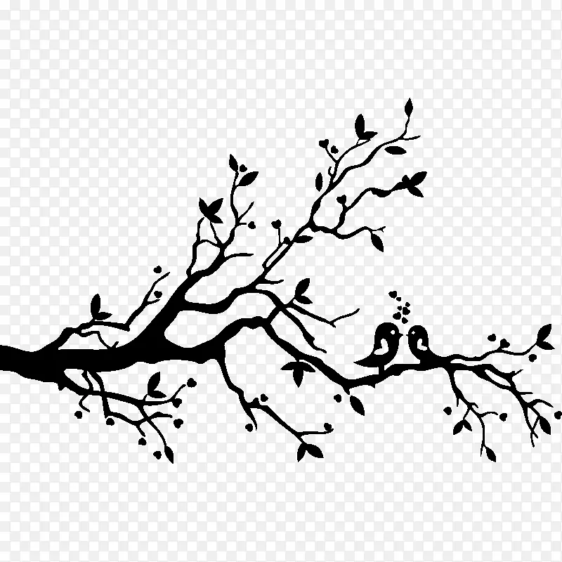 ��֦ ��ɫ ��-������