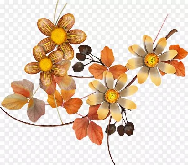 ���ܻ����������-ˮ�ʻ�Ҷ-������