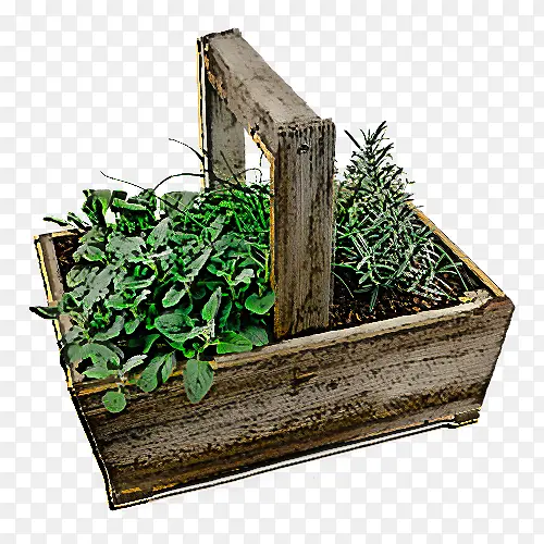 ֲ�� �� ľ��-������