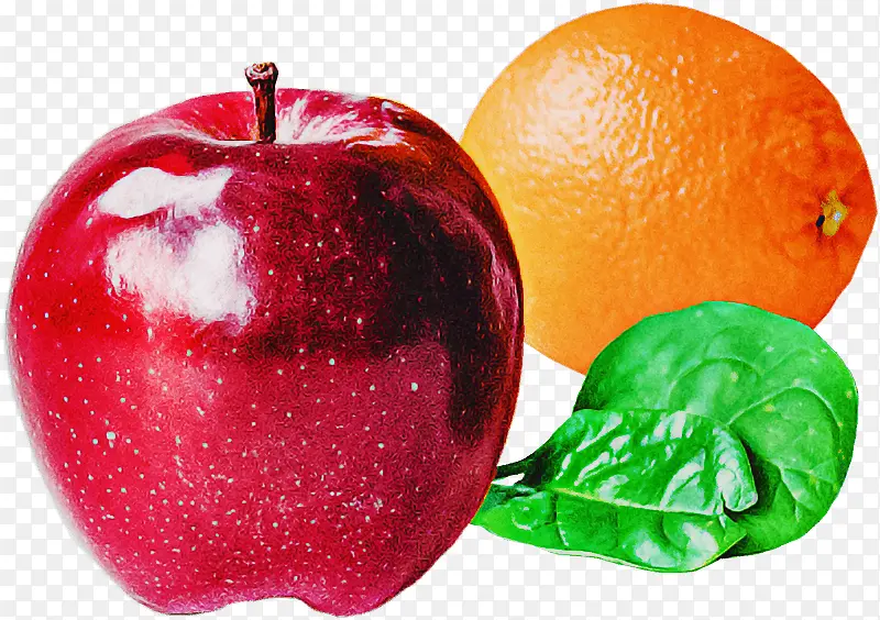 ��ȻʳƷ ˮ�� ʳƷ-������