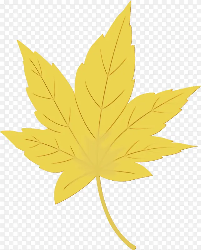 ˮ�ʻ� ���� ʪī-������