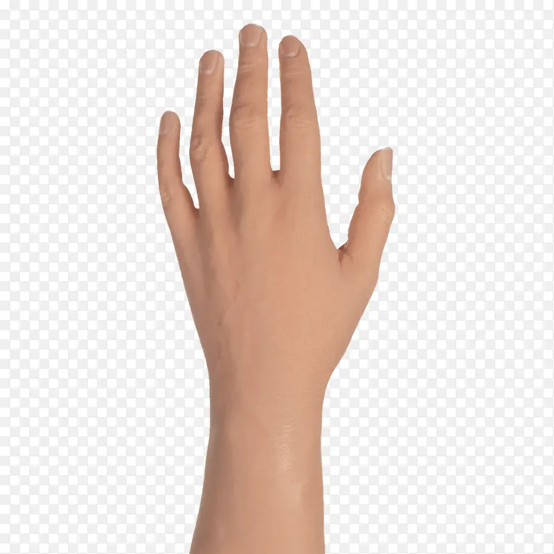 ��ָ �� Ƥ��-������