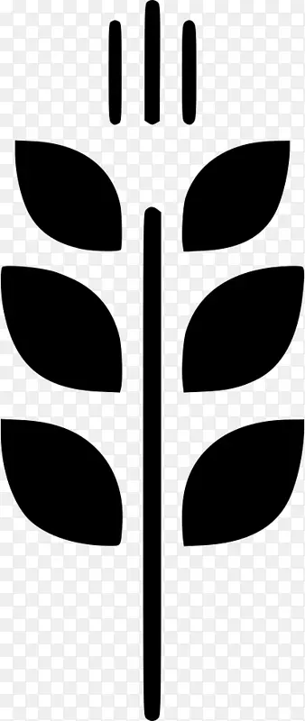 ���� �ձ� �ڰ�-������