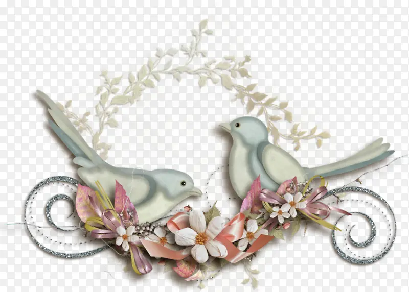 �� ֲ�� ��Ϣ��-������