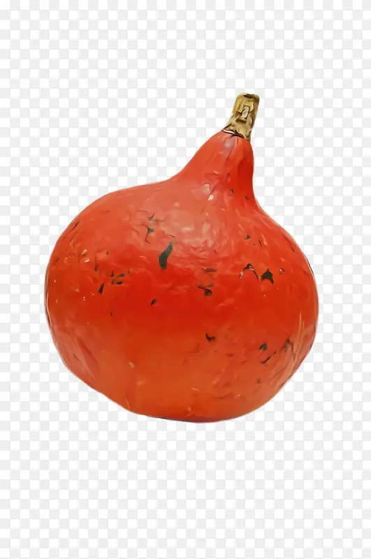 ֲ�� �߲� ʳ��-������