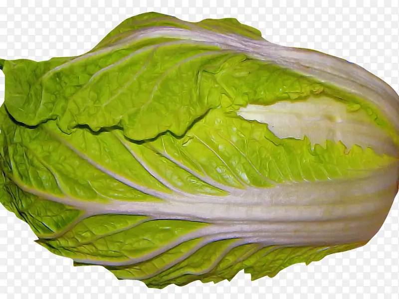 ���Ĳ� �߲� ��������-������