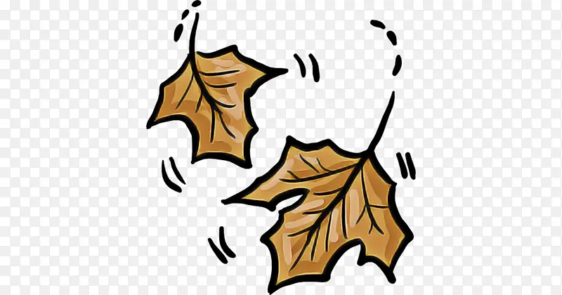 Ҷ�� �� ֲ��-������