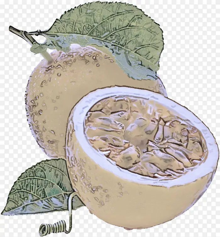 ֲ�� ʳƷ ˮ��-������