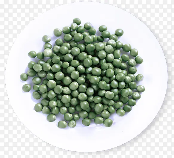 ʳƷ ���� ֲ��-������