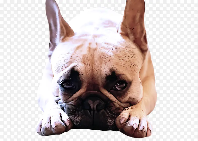 �� ������ţȮ ����-������