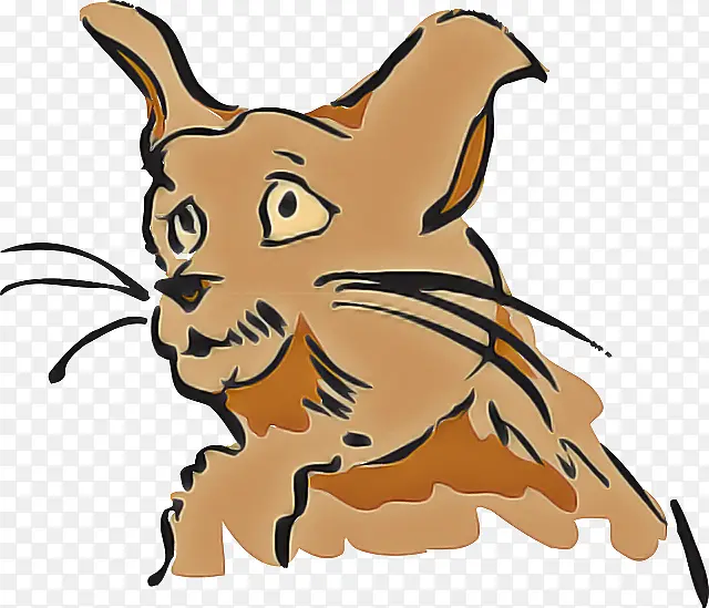 ��ͨ ���� ��������-������