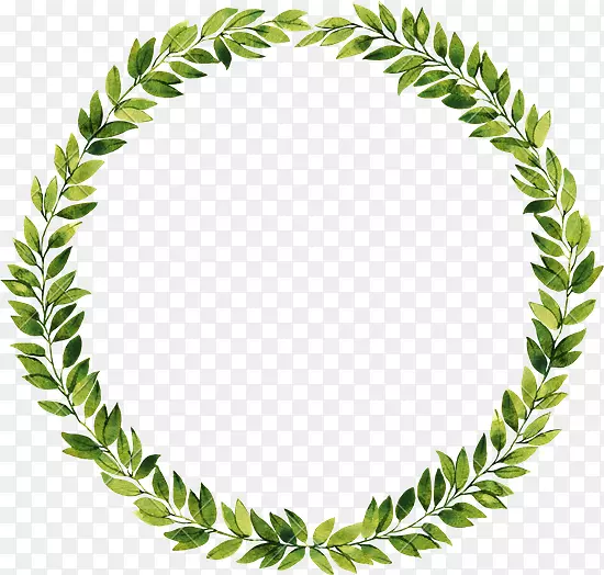 ����Ҷˮ�ʻ���Ӱ.ˮ��Ҷ-������