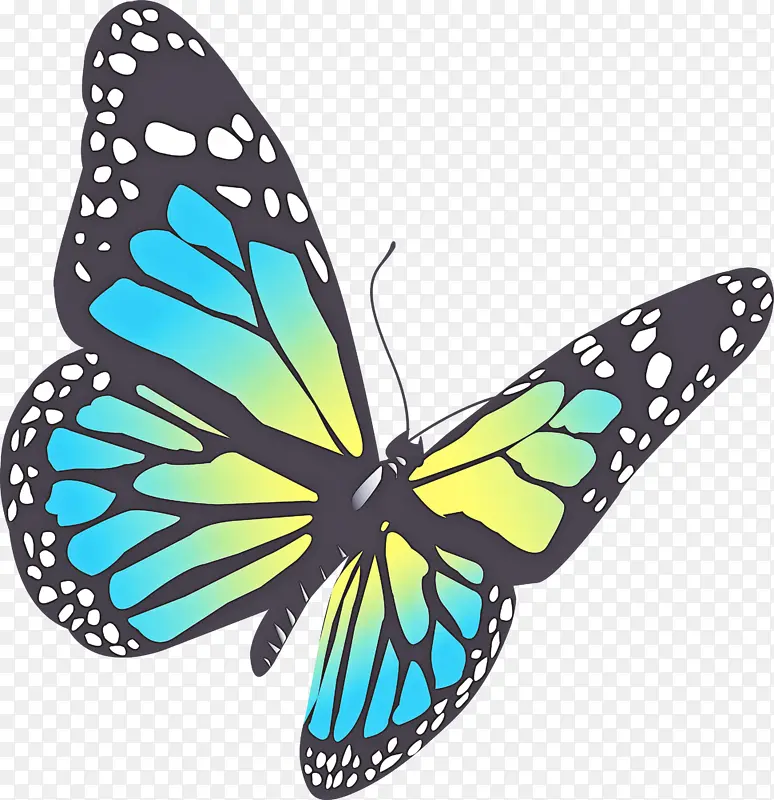 �ɶ�ͺ��� ���� ����-������