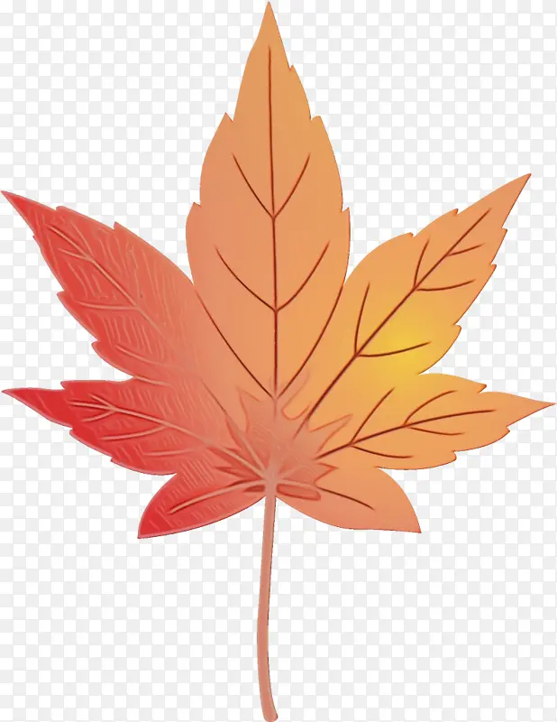 ˮ�ʻ� ���� ʪī-������