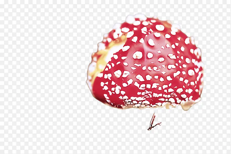 ʳ��-������