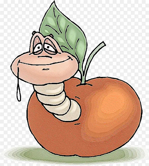 ��ͨ ֲ��-������