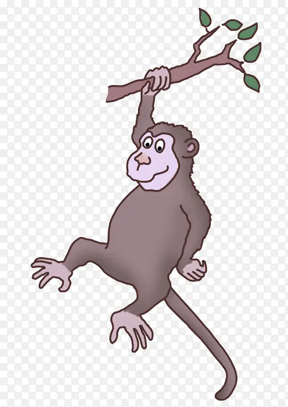 ��ͨ ��֦ β��-������