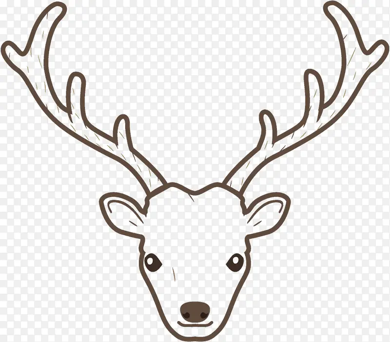 ѱ¹ ʥ����ѱ¹ ʥ����-������