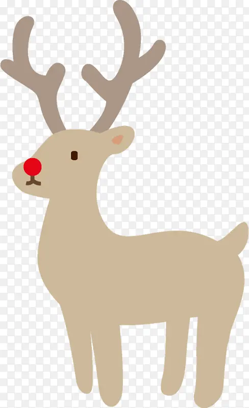 ѱ¹ ʥ����ѱ¹ ʥ����-������