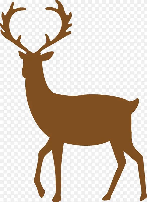 ѱ¹ ʥ����ѱ¹ ʥ����-������