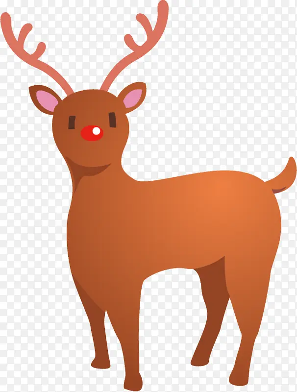 ѱ¹ ʥ����ѱ¹ ʥ����-������