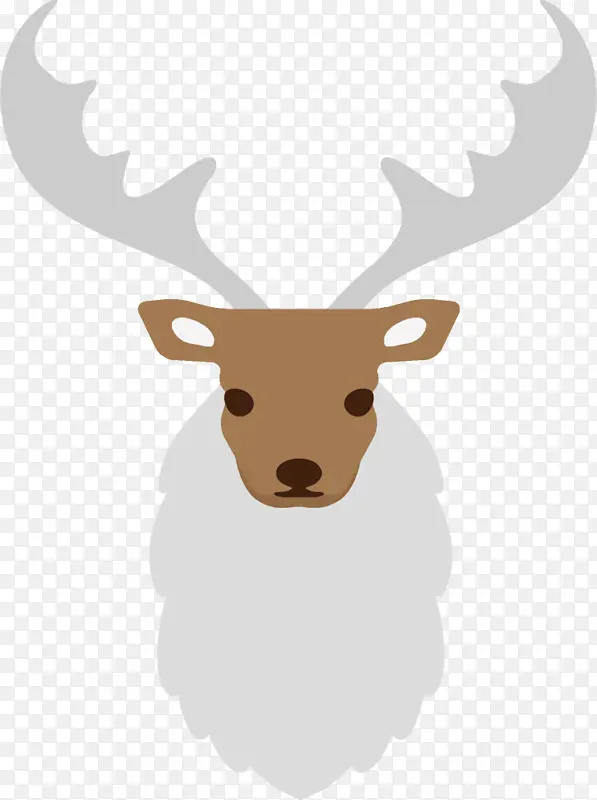 ѱ¹ ʥ����ѱ¹ ʥ����-������