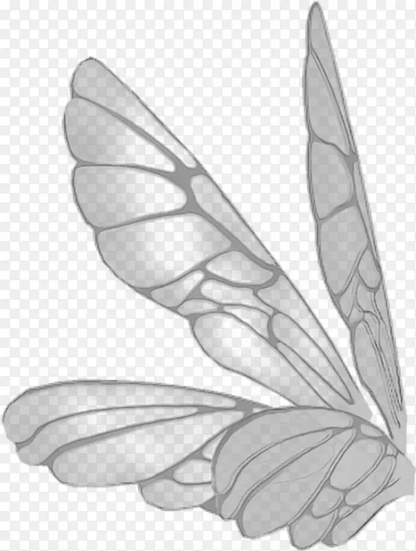 ��ɫ ��� ��ë-������