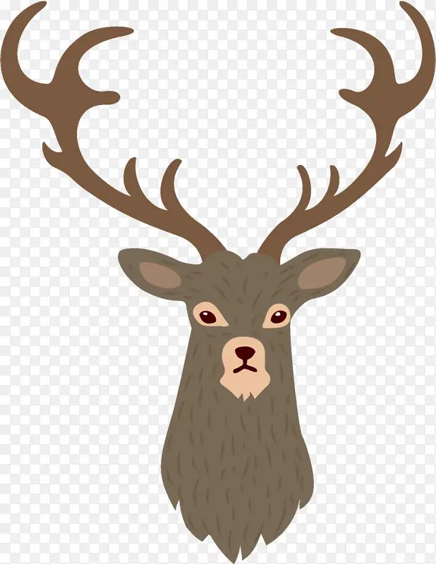 ѱ¹ ʥ����ѱ¹ ʥ����-������